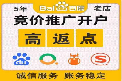 百度推广在电商行业的应用案例分析